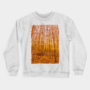 Yellow Leaves Forest Trees Crewneck Sweatshirt